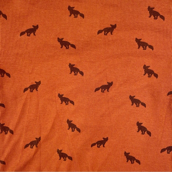 Kate Quinn 2-Piece Set Boys 6-12M Tiny Fox Henley Shirt Pants Ribbed Organic - Picture 3 of 3